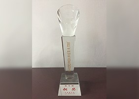 盐商杯中国青年创新创业大赛成长组铜奖